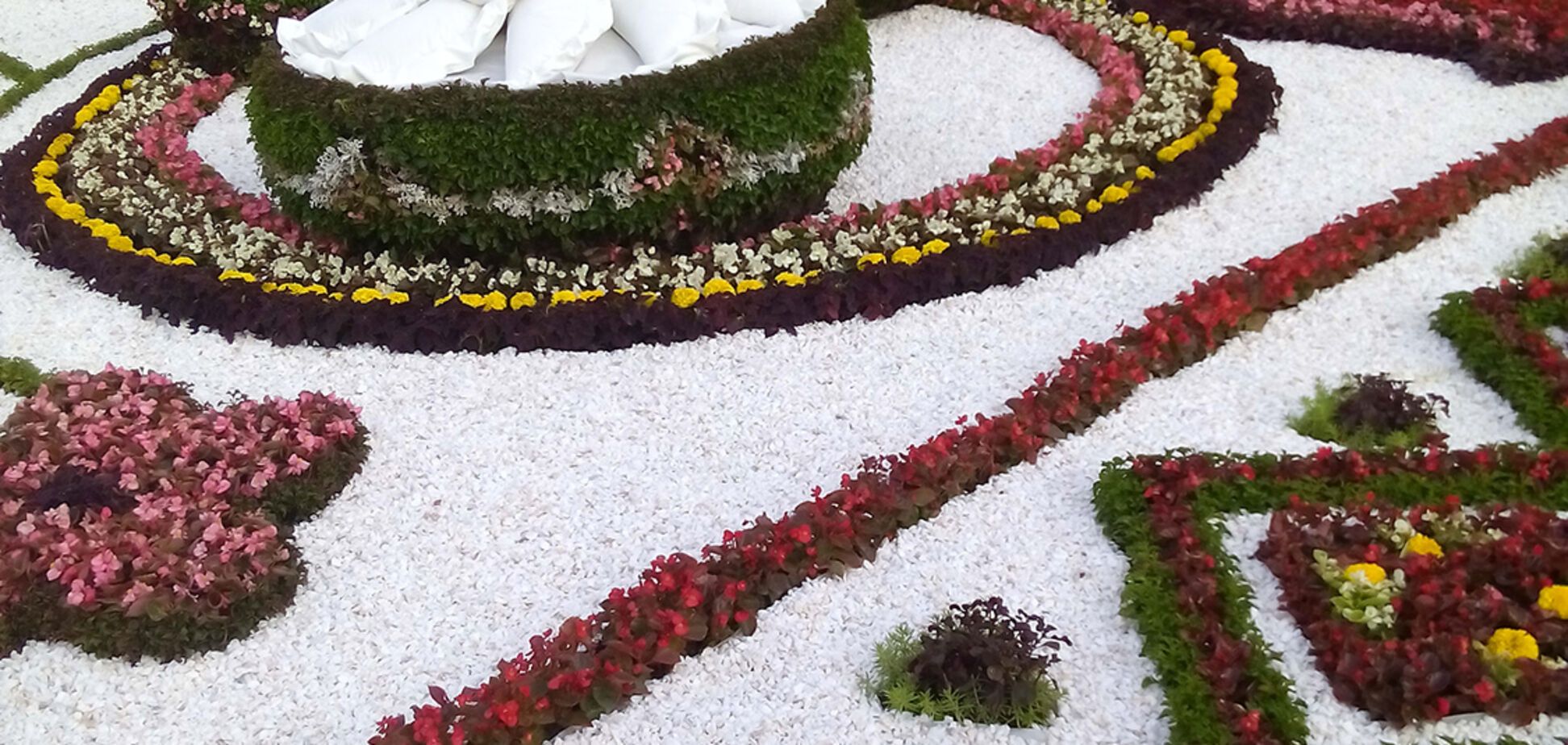 Виставка квітів у Києві: тарілка борщу і гігантські вареники