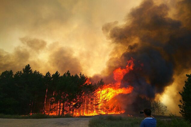 Вигоріло 80 га лісу: стало відомо про жахливу НС у Миколаївській області