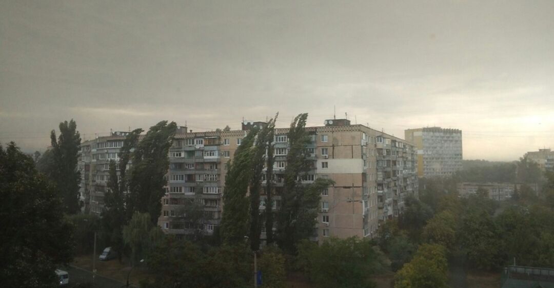 Погода нивы жлобинского района Погода нивы жлобинского района