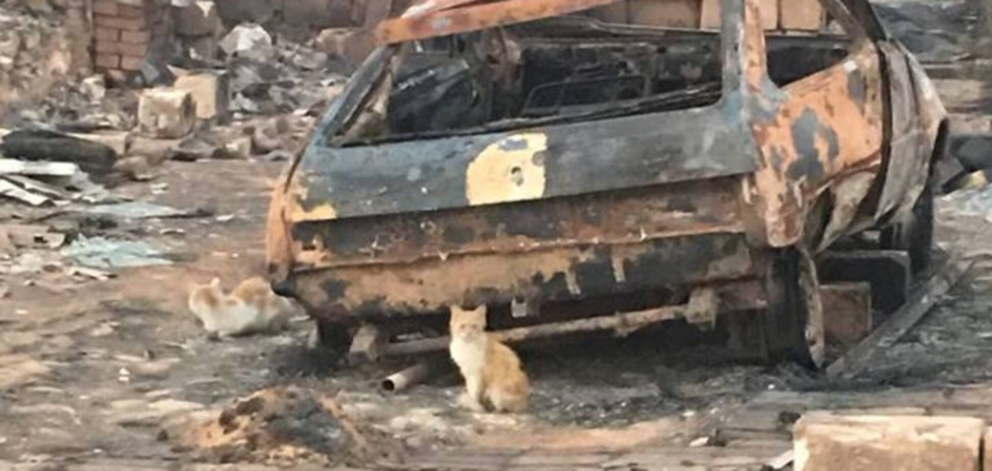 Люди вибігали, хто в чому був: на Донбасі майже повністю згоріло село