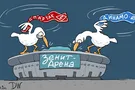 Зенит Арена бакланы