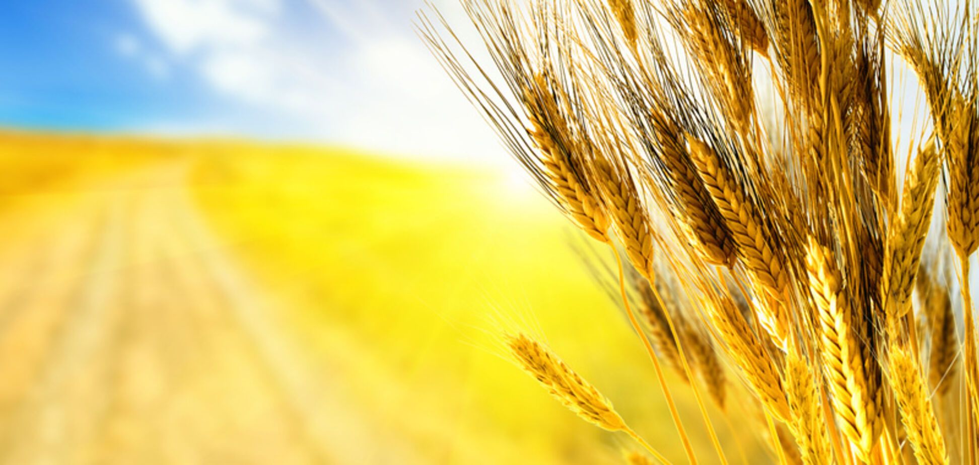 день независимости украины