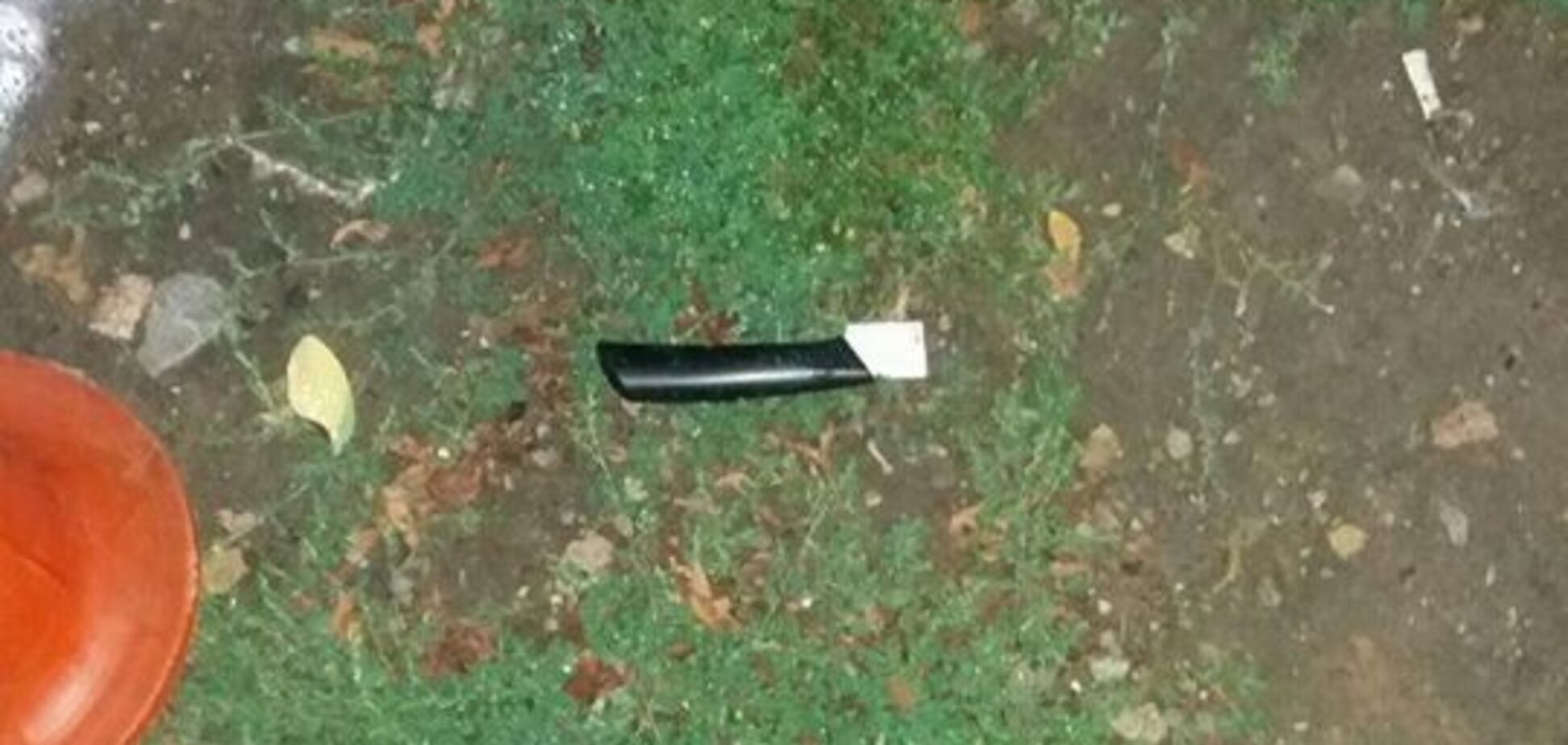 Из губы торчало лезвие ножа: полиция раскрыла детали убийства возле школы в Киеве