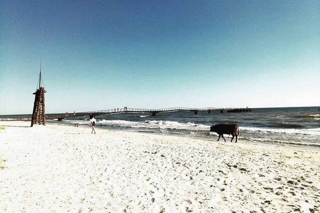 Не хуже Гоа! Сеть поразило фото украинского курорта