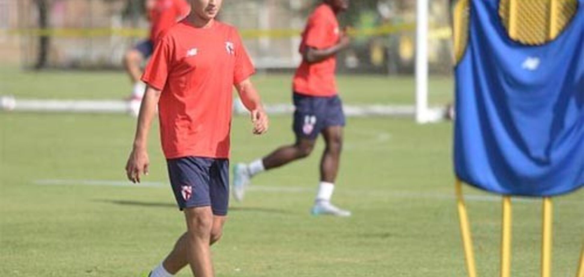 Марьян Швед