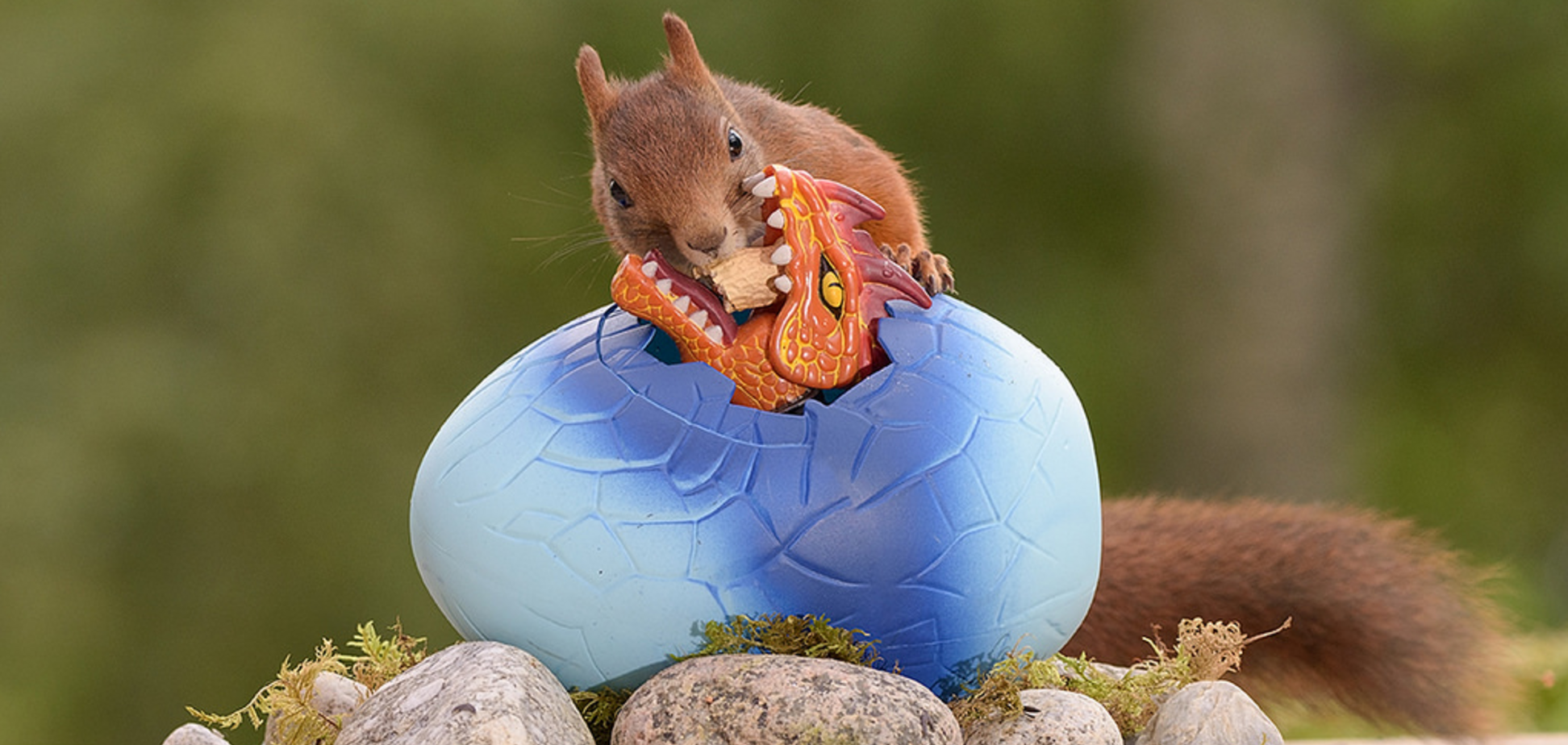 Фотограф креативно перезняв 'Гру престолів': тепер головні герої - білки
