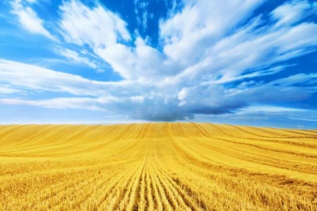 Вересневі тези для патріотичної України: хто з ким і проти кого?!