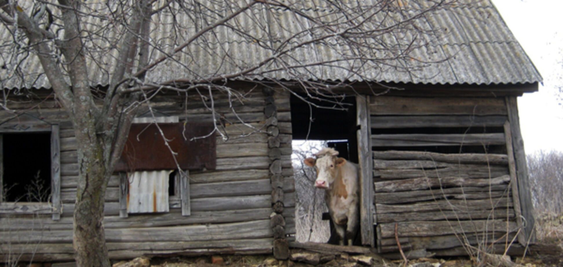 'Мама, они живут в сараях!' Маленькую украинку испугали фото российской деревни