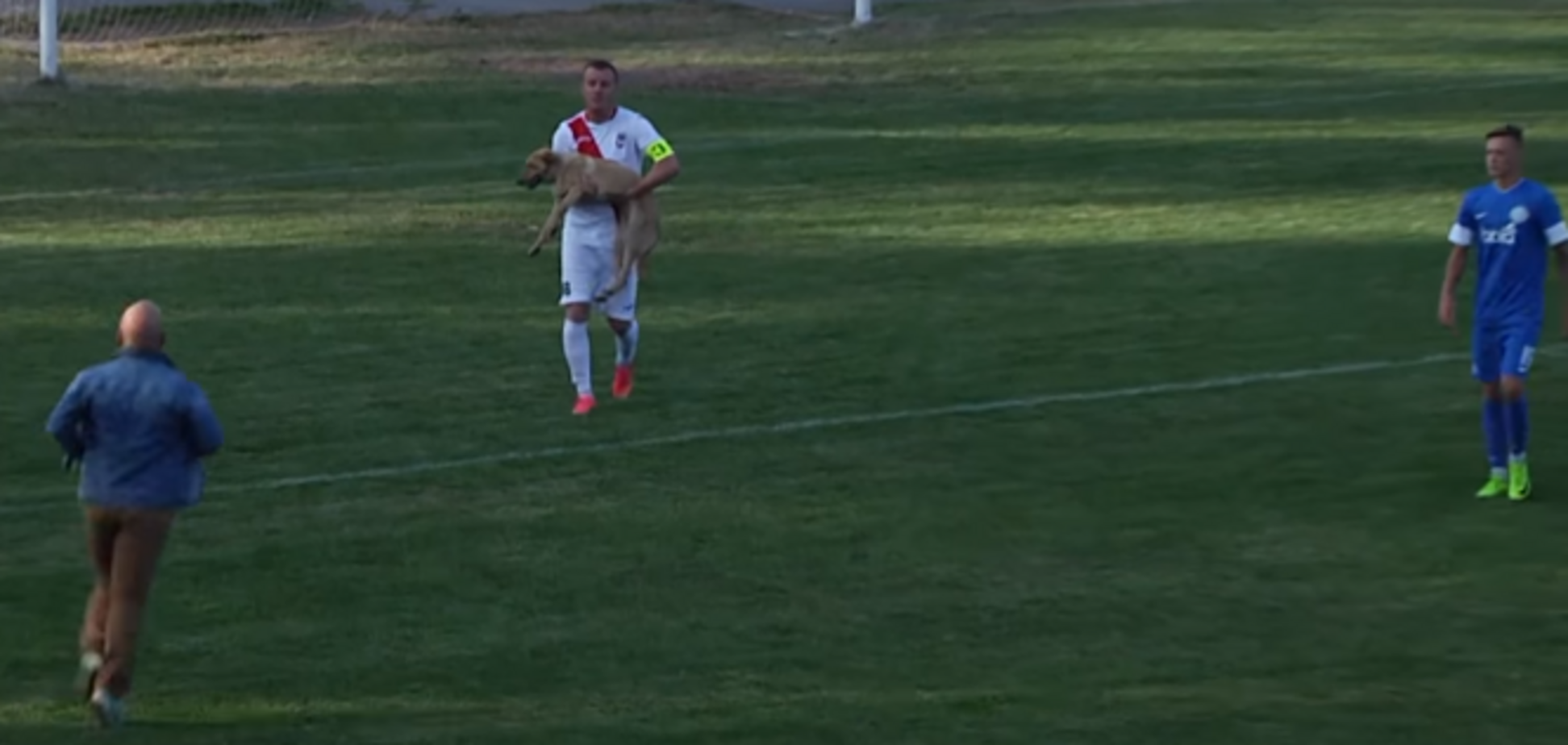 Матч чемпіонату України тричі перервали через собаку