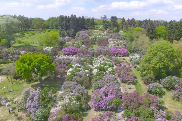 Крупнейший ботсад Украины засветился в скандале с животными-'нелегалами'