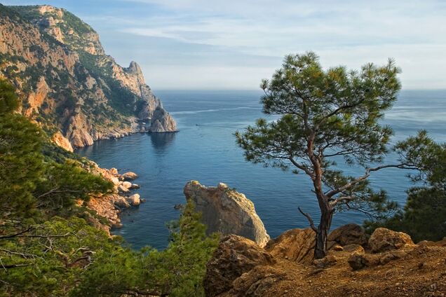 «Верните Крым»: Фейгин заявил о новом приоритете Запада