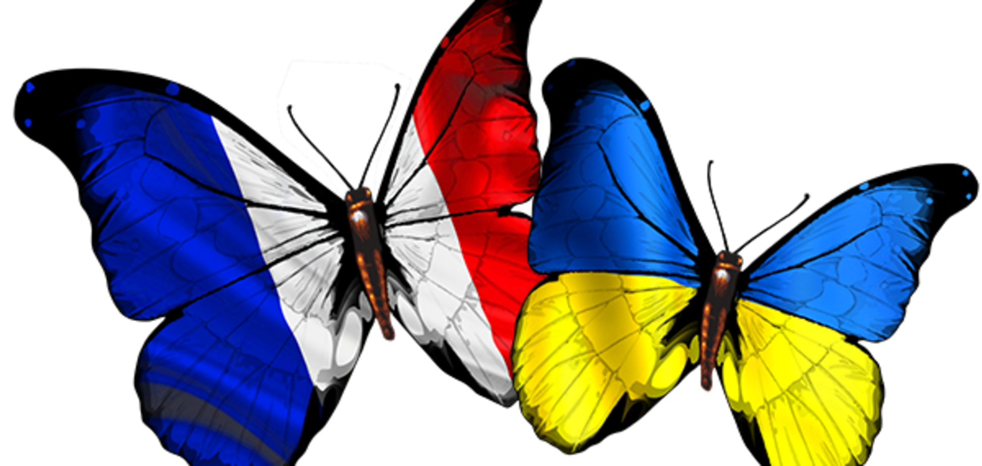 Чем Украина отличается от Франции