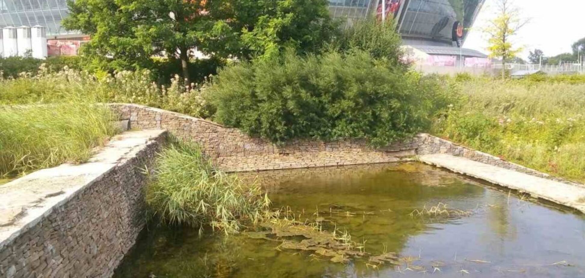 Удручающее зрелище: журналист показал фото 'умирающего' Донецка