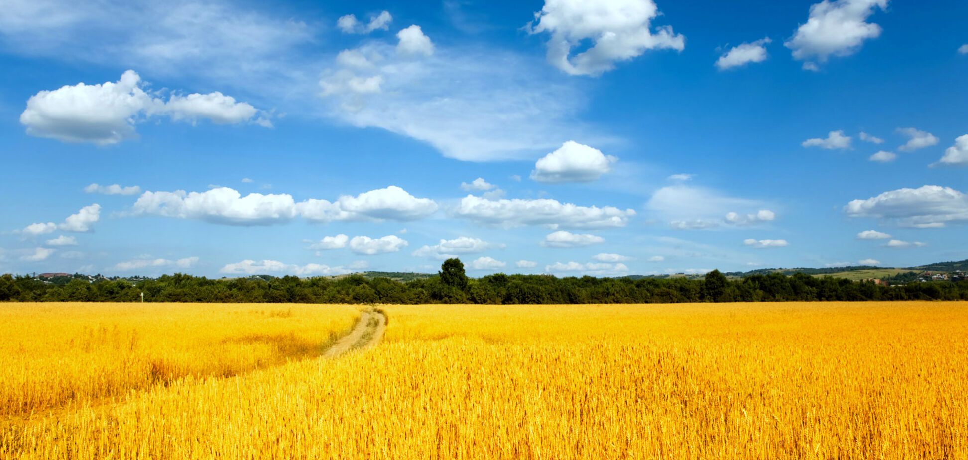 За Украину без пашинских и шабуниных