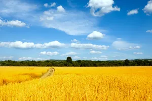украина