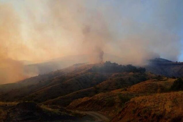 Новости Крымнаша. Предатель, видишь лоха в зеркале? А он там есть!