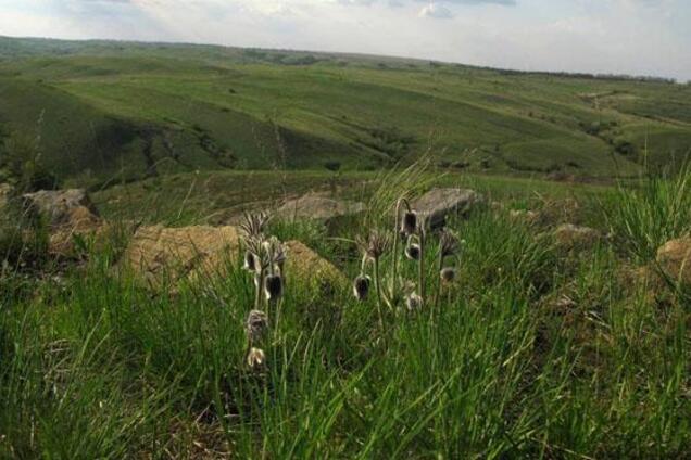 Поспішають дорослішати і жити. А все лише починається
