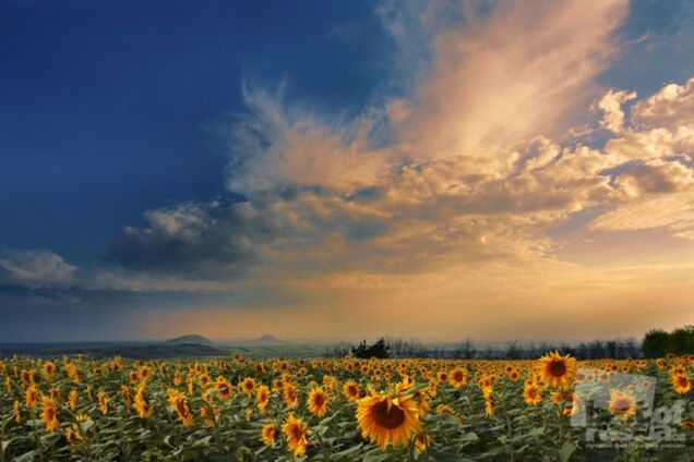 Погода в Украине