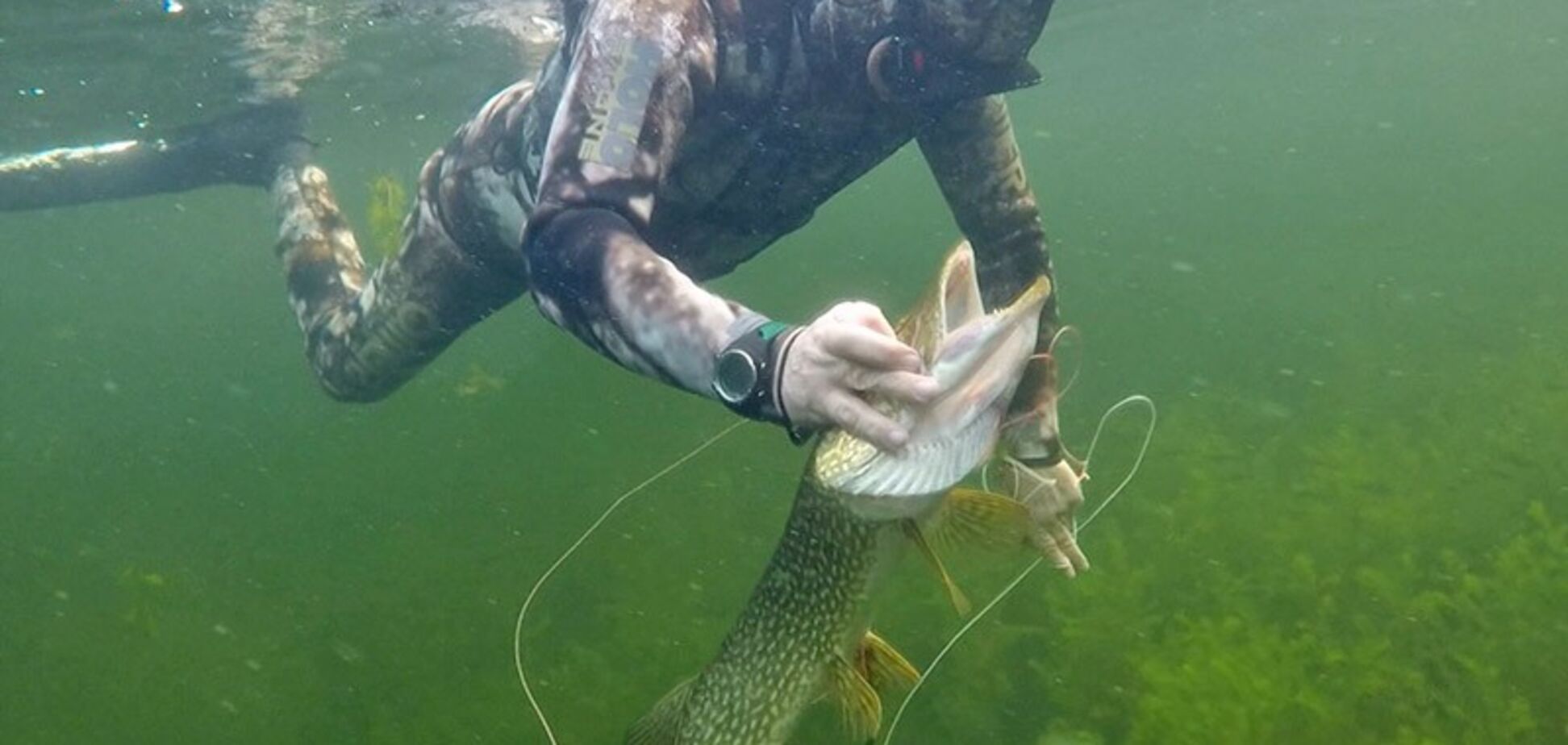 Топлесс в истребителе: в России потроллили рыбака-Путина