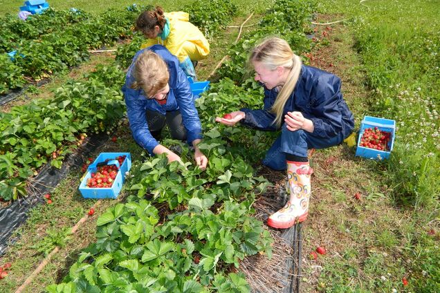 Работа за границей
