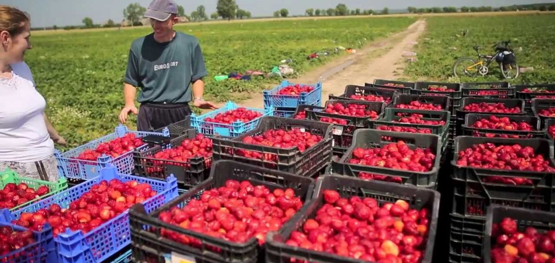 Исчезновение украинцев