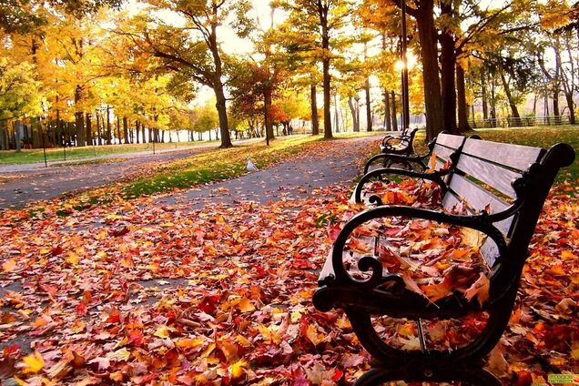 Бабине літо, заморозки і 'спека': з'явився прогноз погоди в Україні на всю осінь