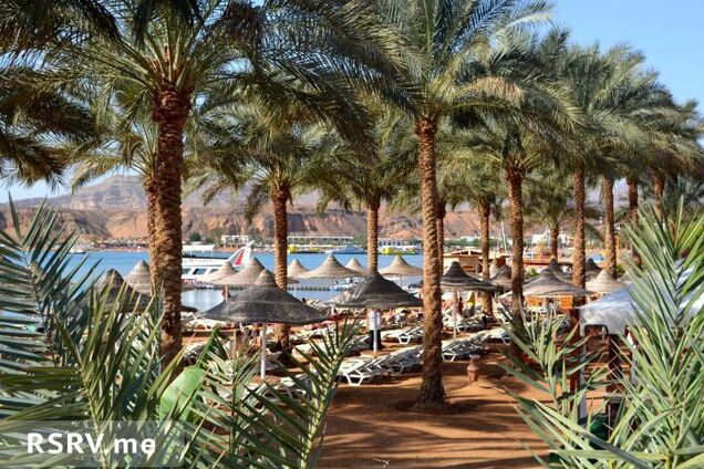 Русскоязычные немцы-в*тники в Египте