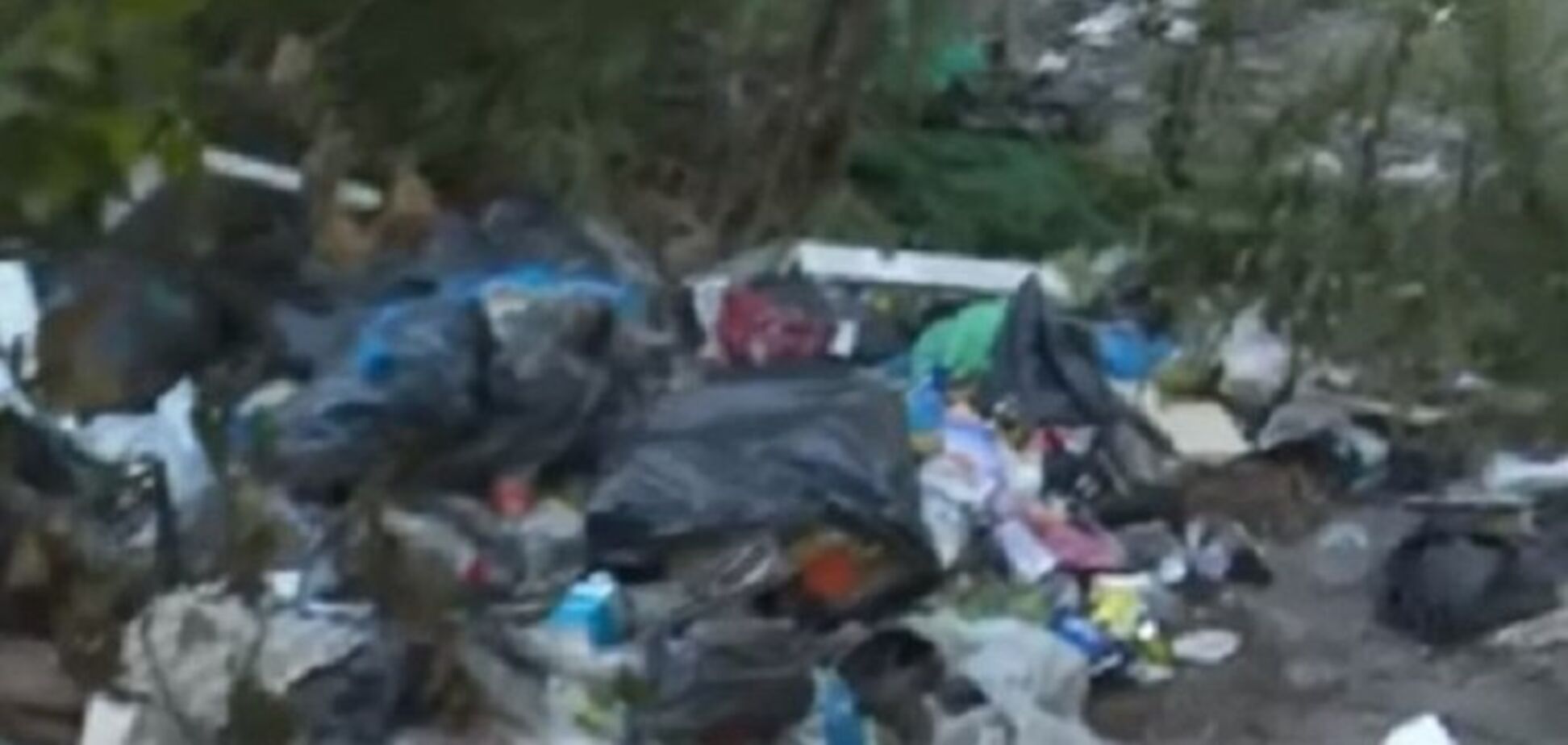 Коммунальщики бездействуют: в Киеве у метро организовали огромную свалку мусора