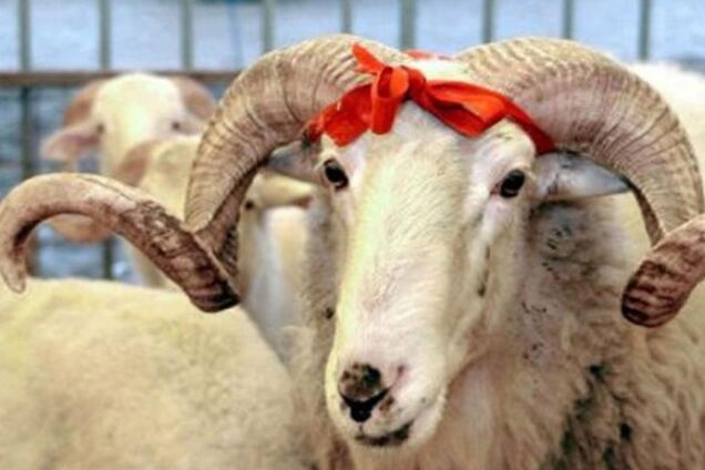 Курбан-байрам