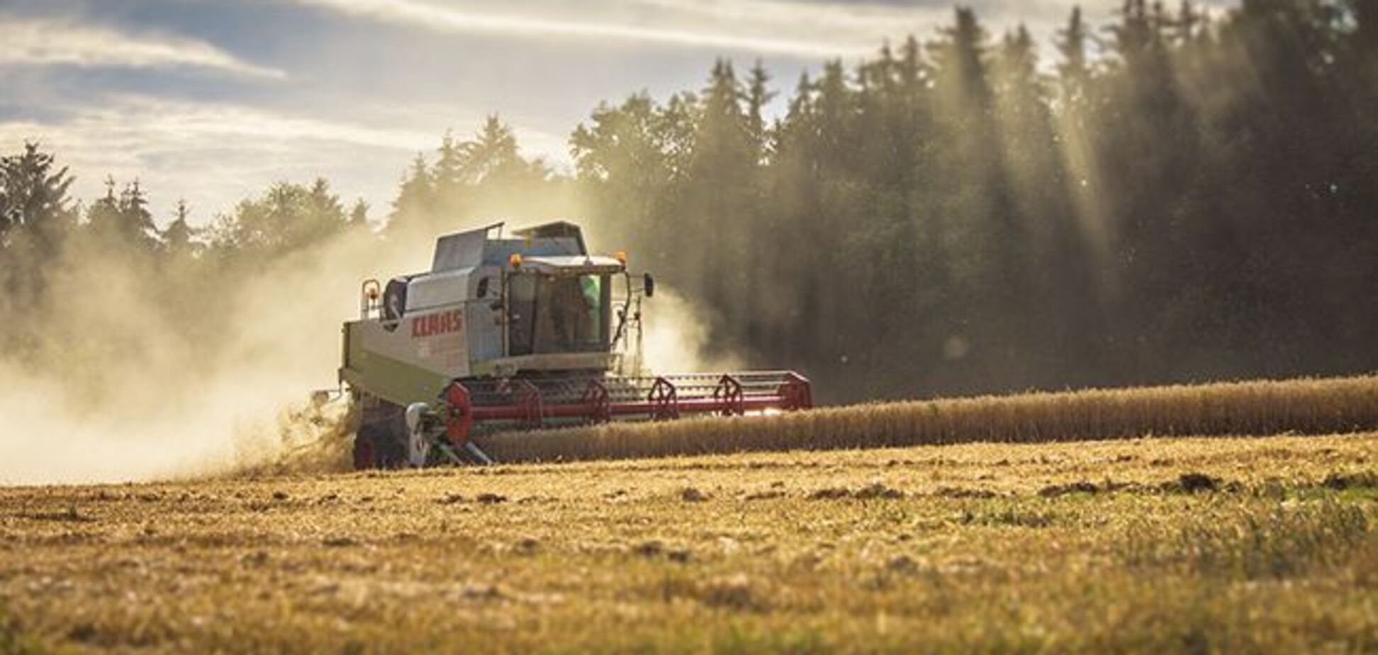 Господдержка аграриев: эксперты объяснили результаты распределения дотаций