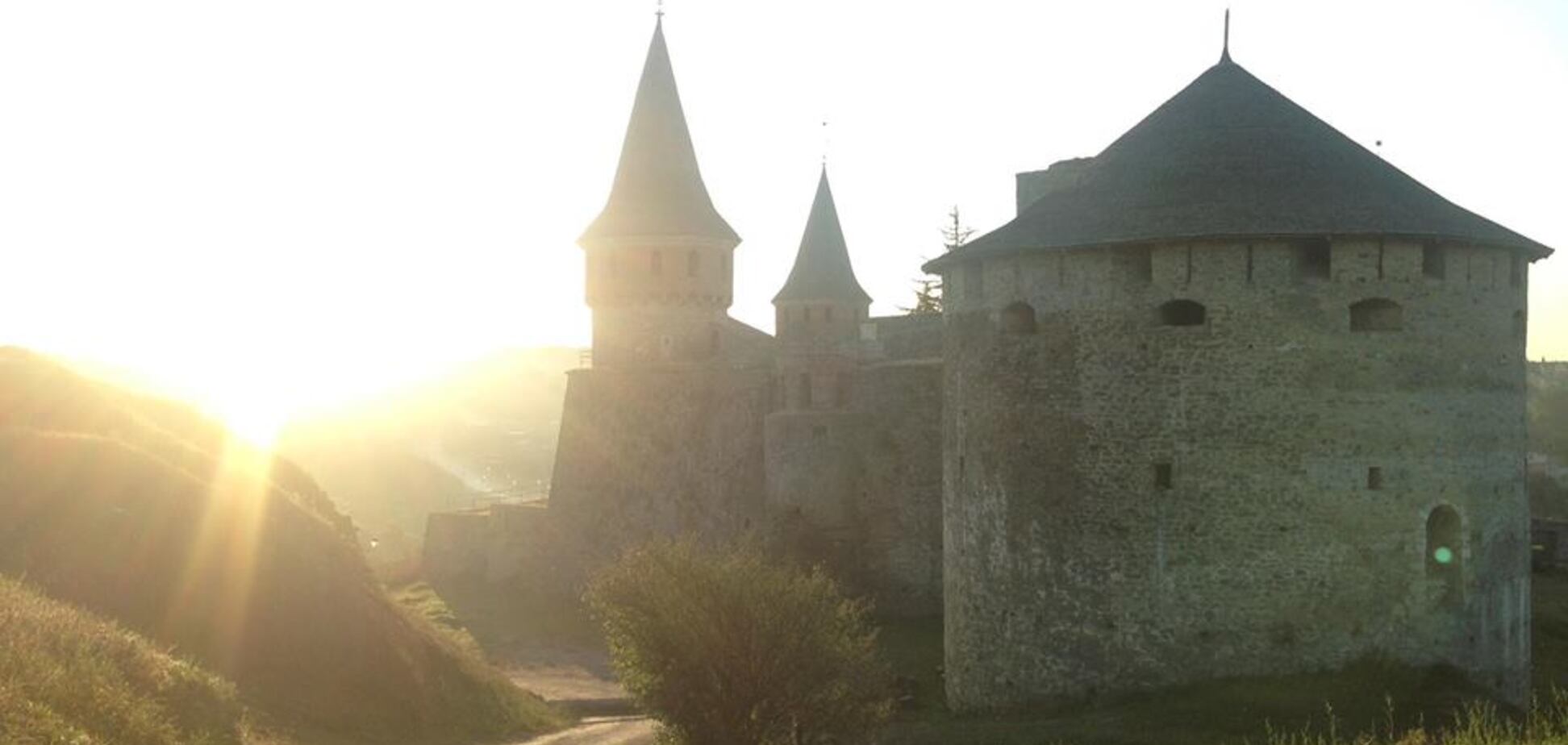 Удивительный город с гид-собаками