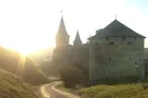 Удивительный город с гид-собаками