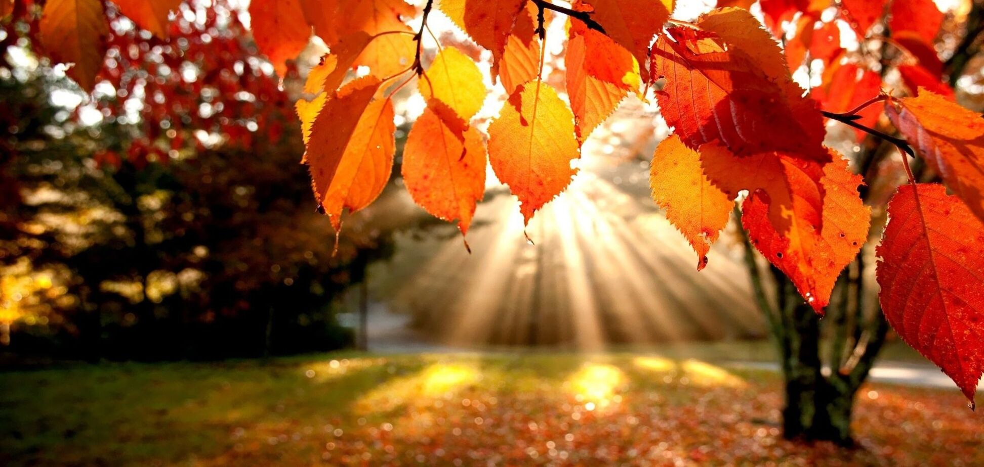 Погода на 11 сентября в Украине: каков прогноз синоптиков