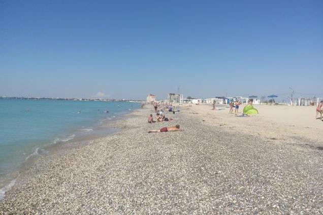 Новости Крымнаша. Выборы. Изголодавшиеся псы от кости отказались