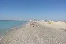 Новости Крымнаша. Выборы. Изголодавшиеся псы от кости отказались