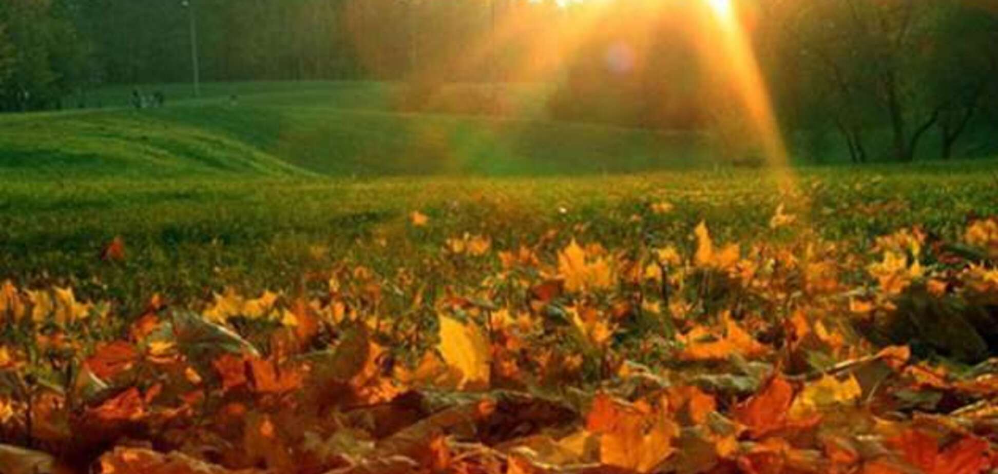Погода на 12 вересня в Україні: який прогноз синоптиків