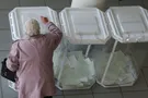 выборы в России