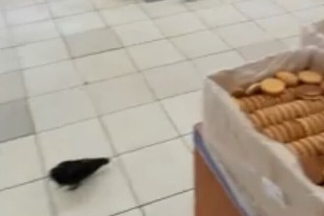 И это будут есть люди: покупателя возмутил инцидент в киевском супермаркете