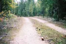 дорога