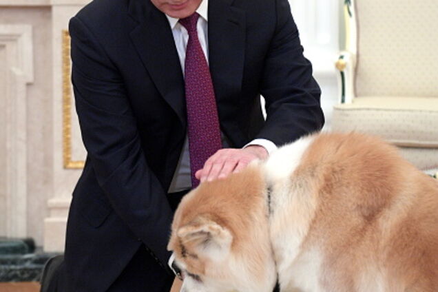 Німецький журнал Focus назвав Путіна собакою: Росія відреагувала