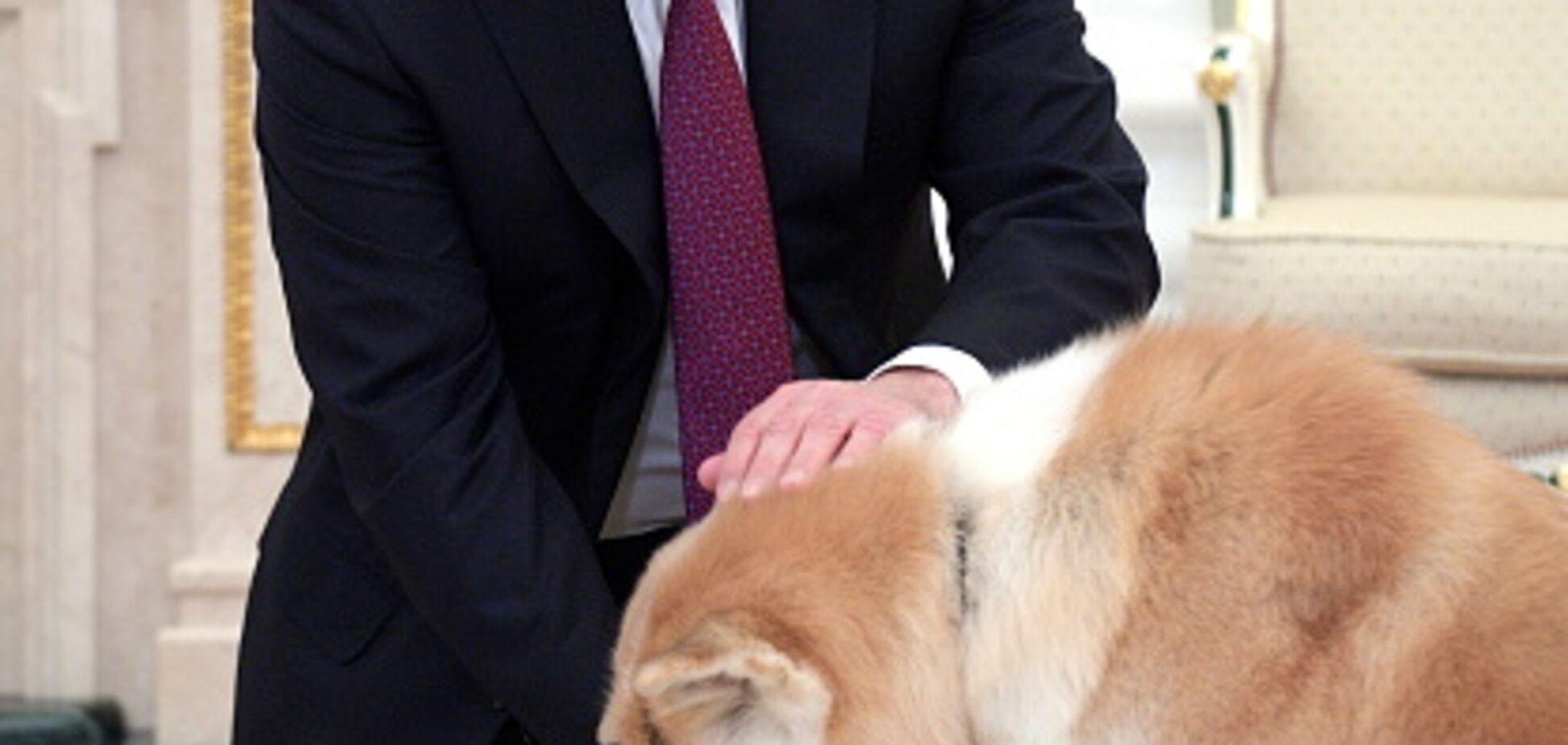 Німецький журнал Focus назвав Путіна собакою: Росія відреагувала