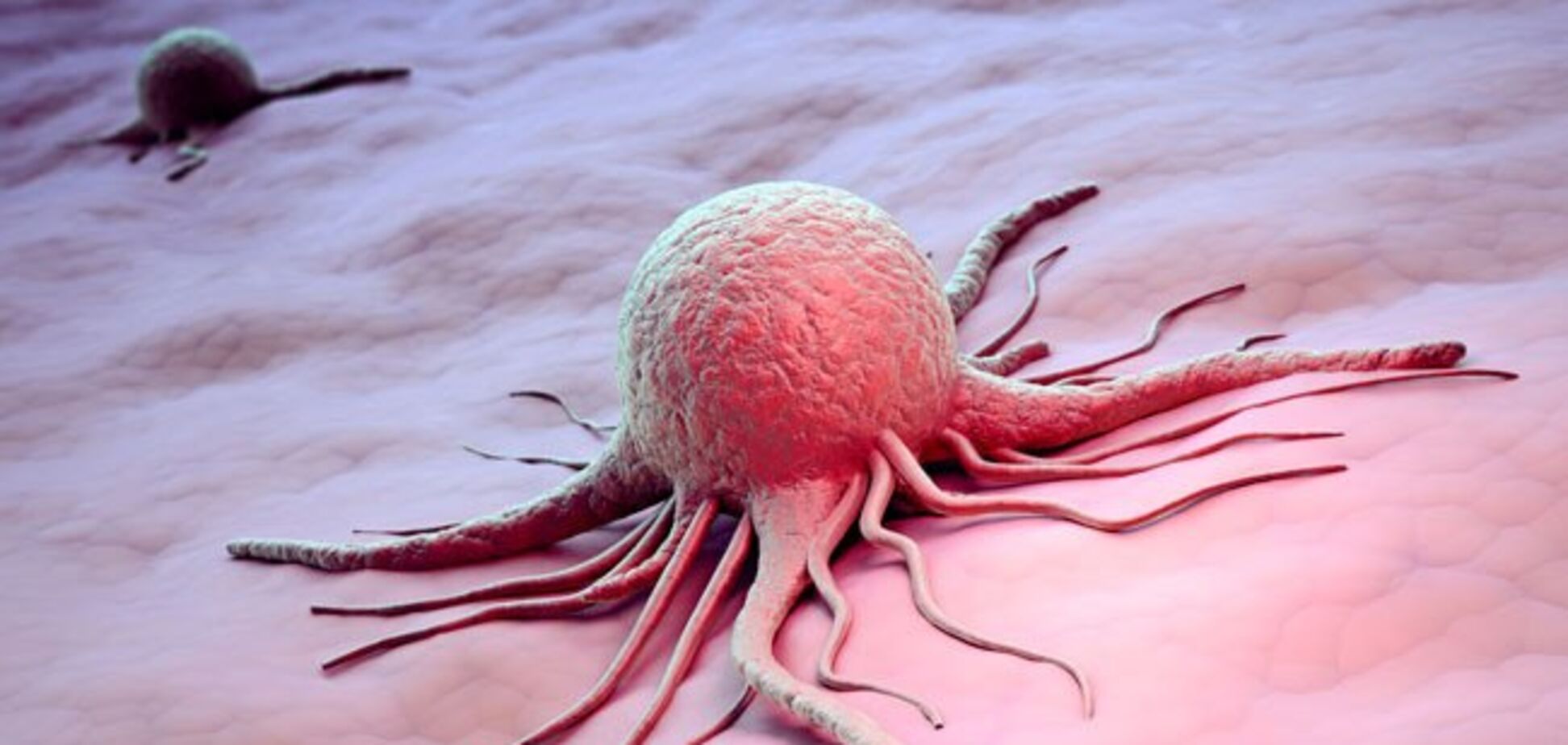 'Рак возникнет у всех': генетик рассказал страшную правду о природе заболевания