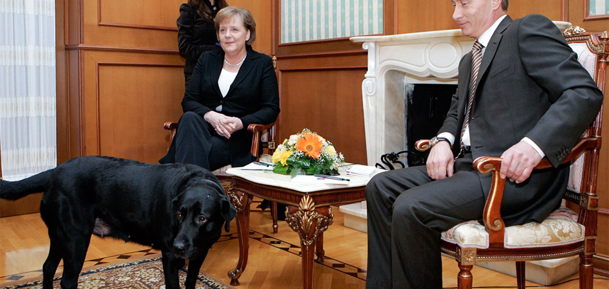 'Путин-собака': Focus прокомментировал жесткое оскорбление в адрес президента РФ