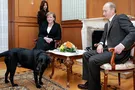 "Путин-собака": Focus прокомментировал жесткое оскорбление в адрес президента РФ