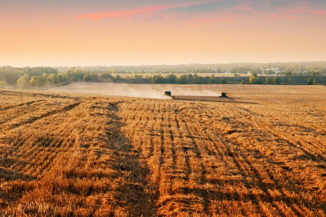 Осень: самое модное сочетание цветов