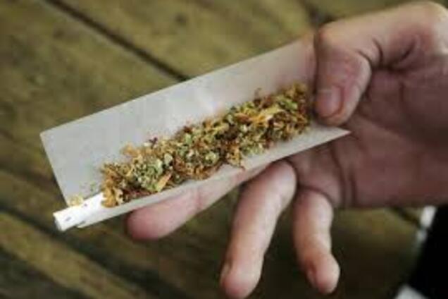 В Запорожской области изъяли наркотиков на 100 тысяч гривен