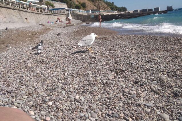 Новости Крымнаша. Россия — центр ада на Земле