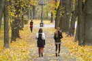 осень Киев