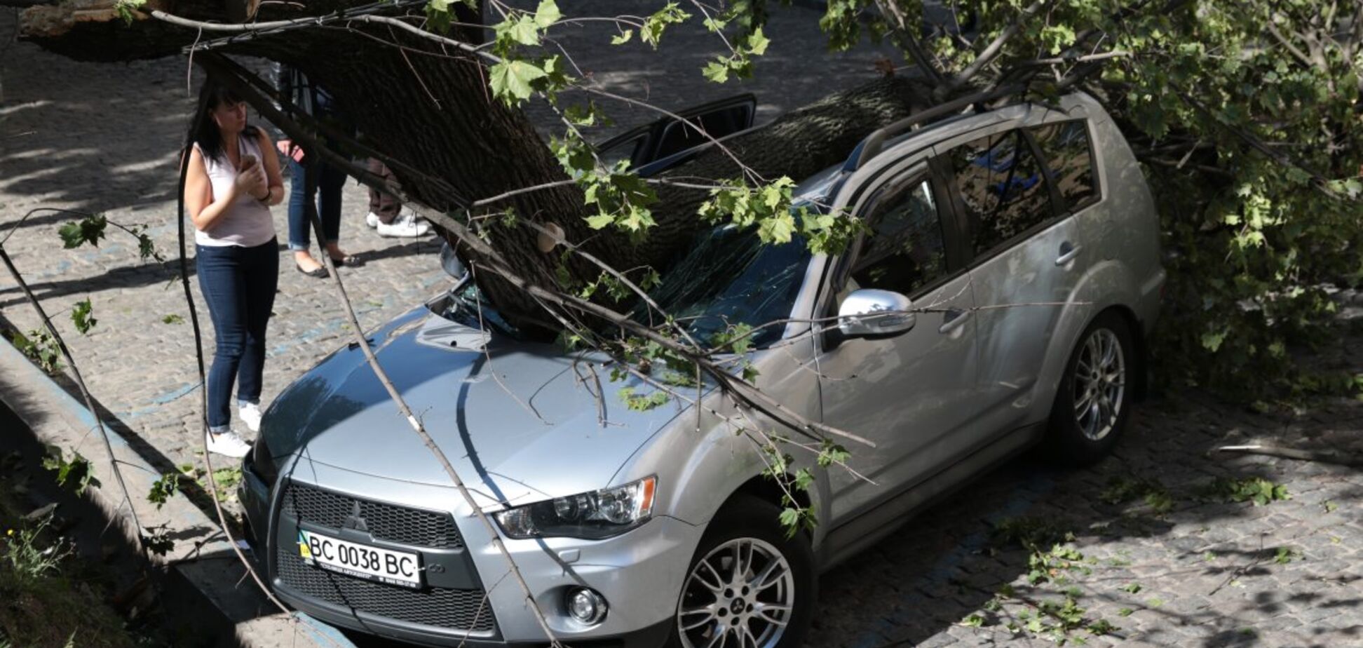 Вдребезги: во Львове дерево упало на авто нардепа