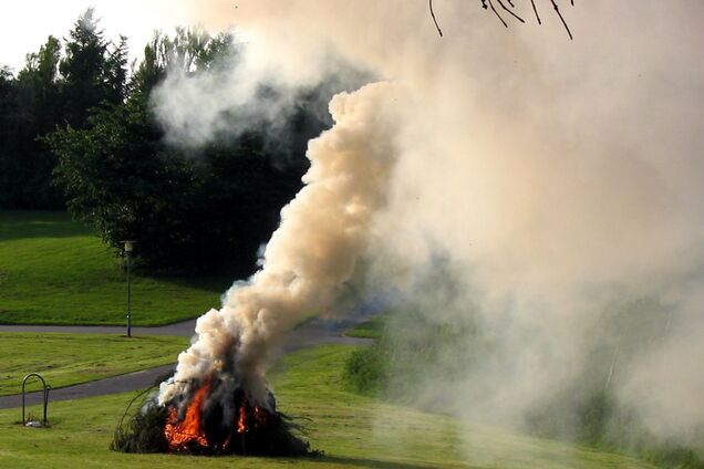 Украина в дыму: эколог пояснил, чем опасен костер из листьев